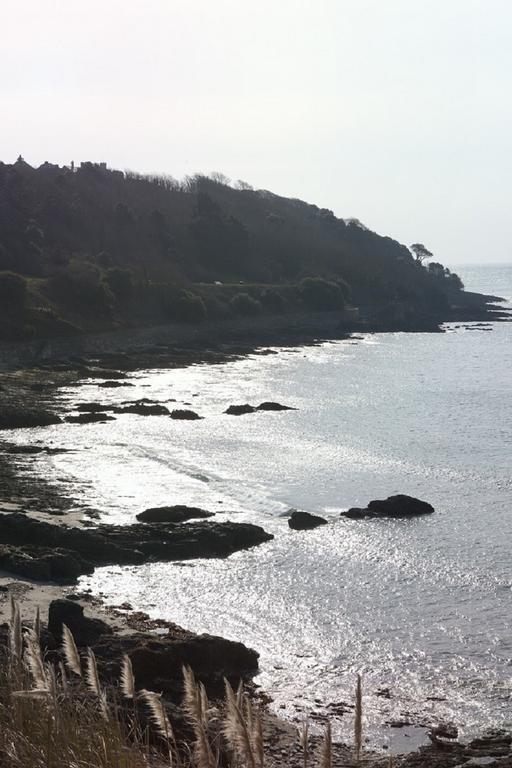 Park View Townhouse Hotel Falmouth Luaran gambar